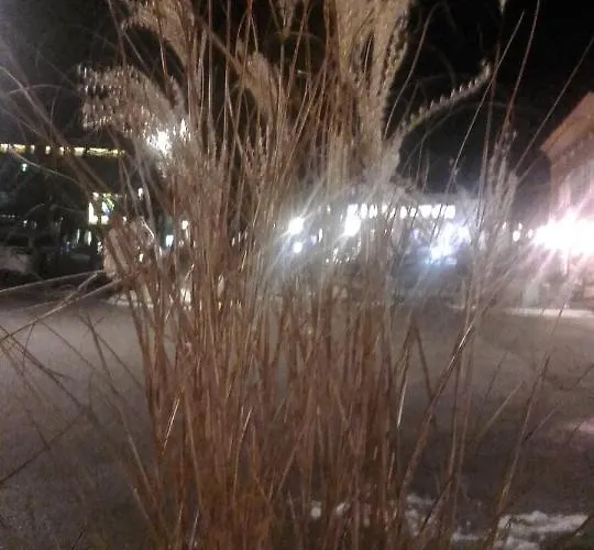 Appartamento Alpensonne